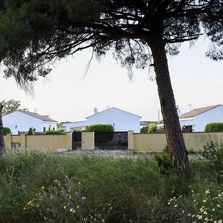 Villas Perez Zara Conil De La Frontera Dış mekan fotoğraf