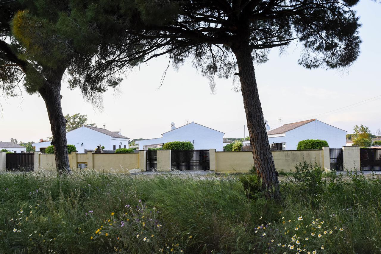 Villas Perez Zara Conil De La Frontera Dış mekan fotoğraf